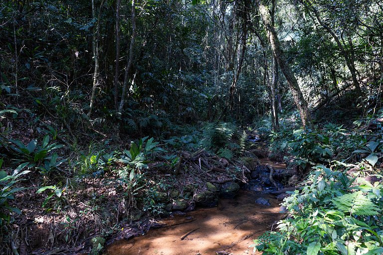 Lareira, Natureza, Piscina |Brazilian Corner