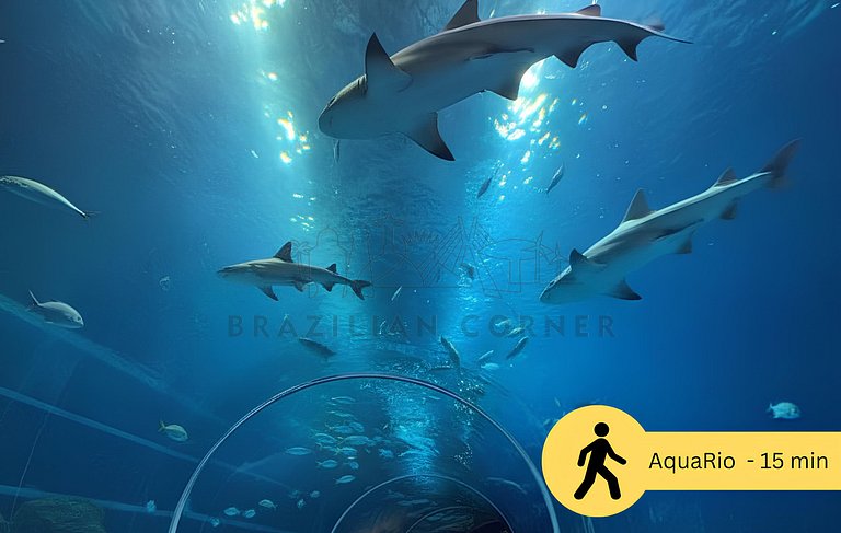 Moderno com ar- condicionado, piscina e academia