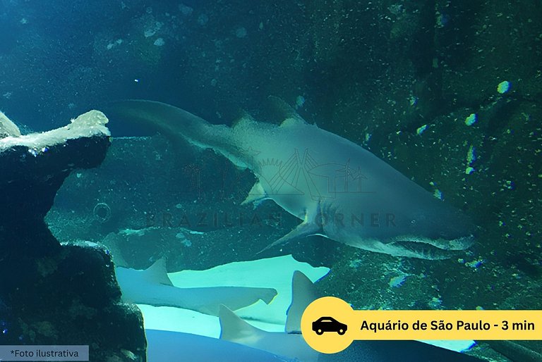 Casa de 4 quartos com Ar condicionado no Ipiranga